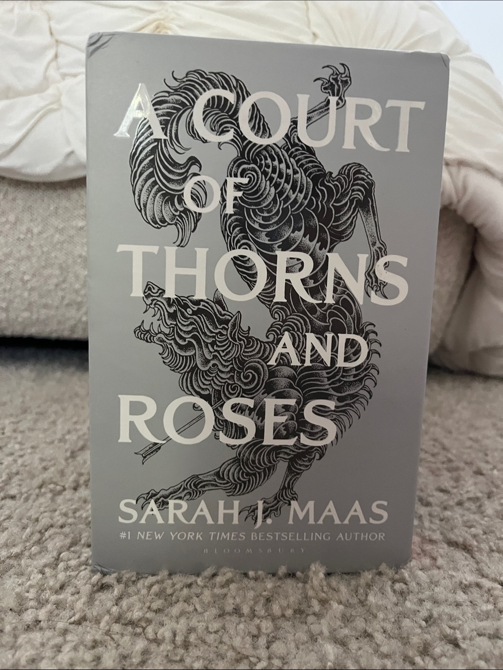 ✨ACOTAR Boxed Book Set - New Condition✨ - Picture 3 of 15